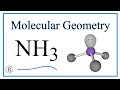 Molecular Geometry of NH3