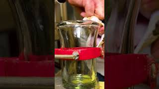 Milking Gaboon Viper