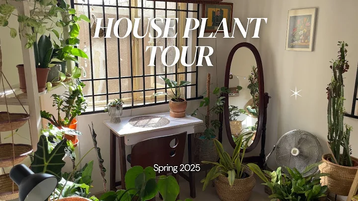 Spring 2025 Full Houseplant Tour with Plant Styling and Decor tips !
