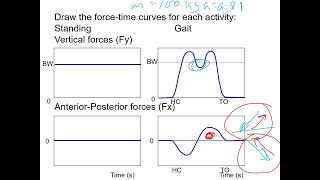 Lecture 12 Linear Kinetics Video