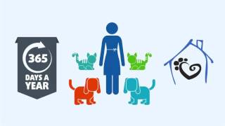 The Pet Nanny In Home Pet Sitting Services, LLC - Video