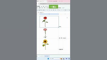 【スプレッドシート】ネット画像を貼り付ける時に、サイズ調整が必要なくなります‼︎
