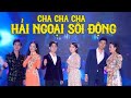 LK Disco Hải Ngoại Nghe Mãi Không Chán | Nhạc Vàng Hải Ngoại Cha Cha Sôi Động Cực Hay | Nhiều Ca Sĩ