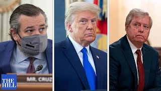 WATCH: Sen. Lindsey Graham and Sen. Ted Cruz meet with Trump's impeachment team