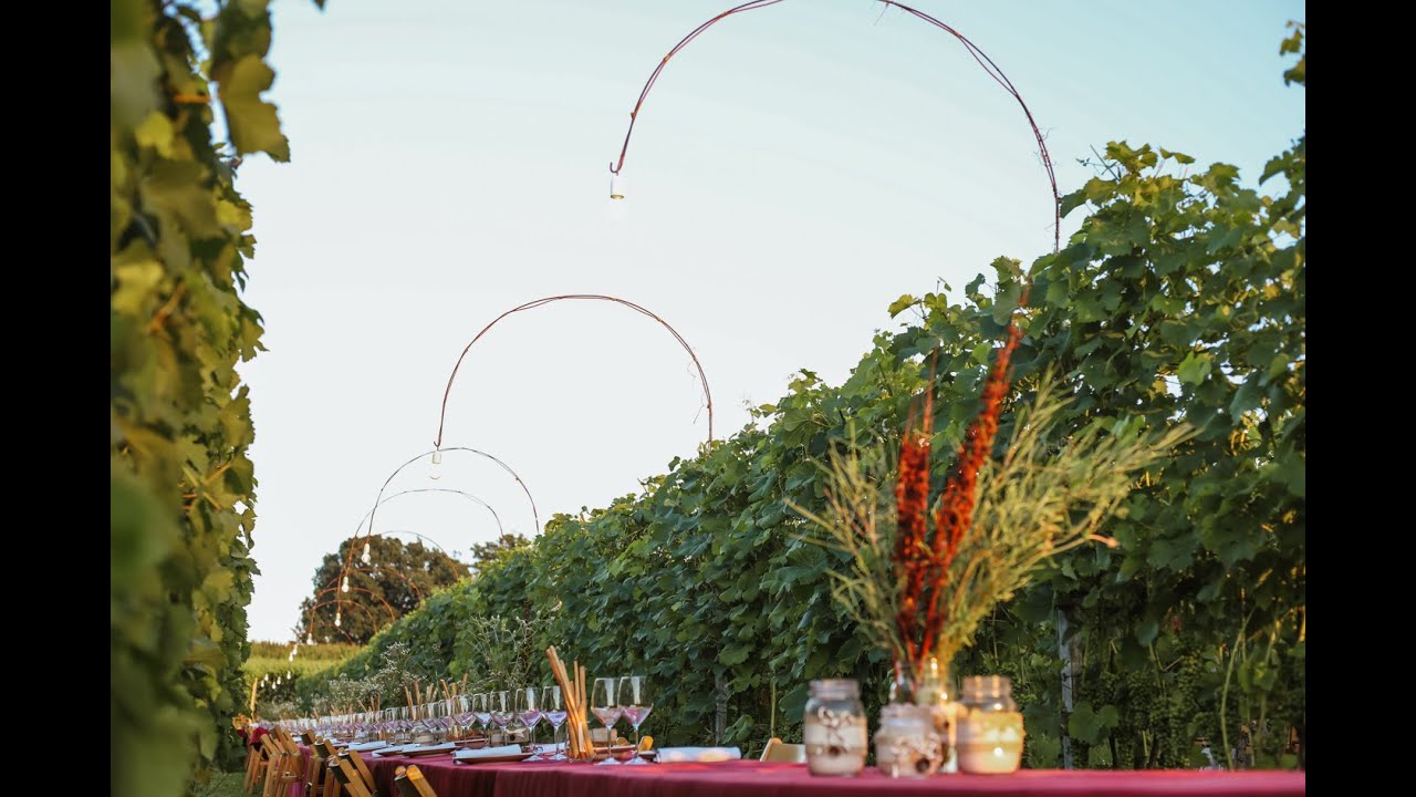 TaulalUUUnga: "Il Grano e le Stelle - Saturno Mietitore"