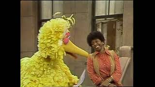 Classic Sesame Street - "Big People, Small People" with Big Bird and Susan
