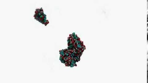 QS-21 Micelle Formation in Water