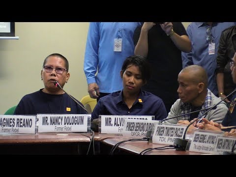Ex-rebel confesses to Senate: 'I was student by day, NPA by night'