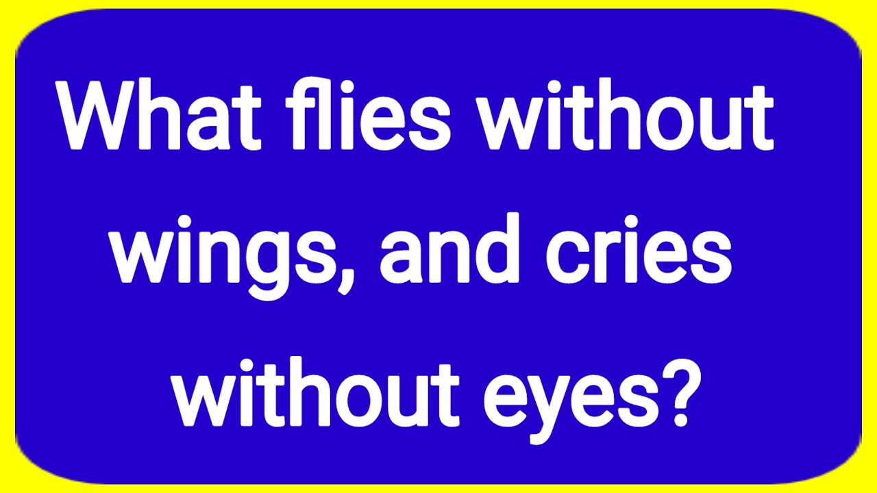 Only Genius Can Solve These Mind Game Riddles ||Brain Teasers for ...