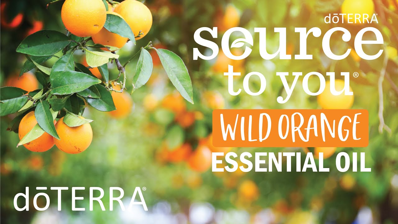 Where is doTERRA Wild Orange Essential Oil Sourced? YouTube