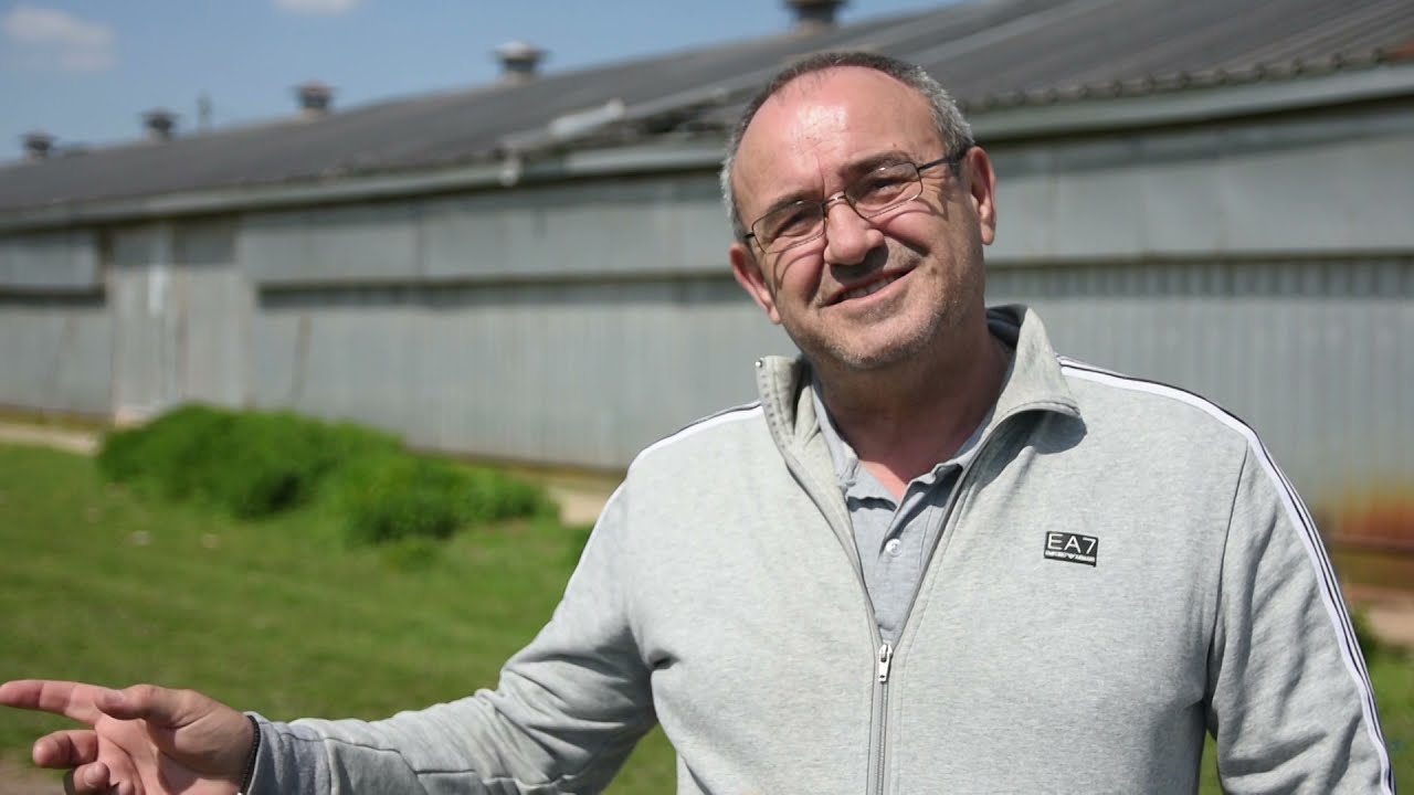 UZGOJ ĆURAKA - posao iz snova