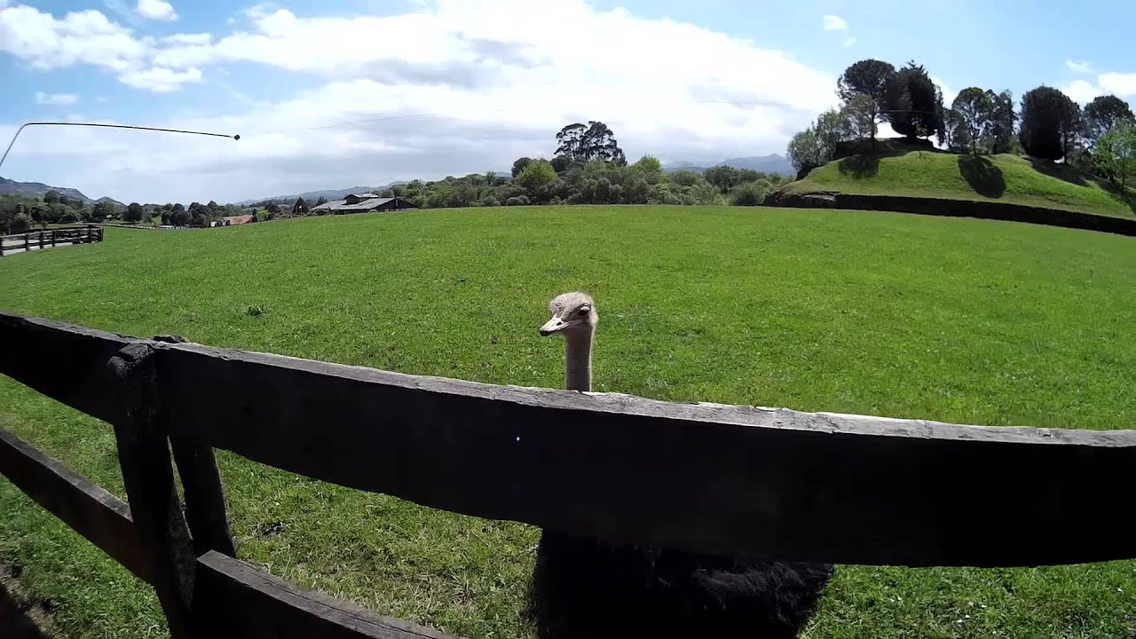 Parque de cabarceno (Mayo 2015)