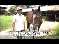 KISAH KUDA LEGEND DJOHAR MANIK DAN JOKI MAESTRO!!! #kudapacuindonesia#horseracing#kudaindonesia