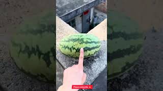 Experience.. Will a watermelon 🍉 experience No 114
