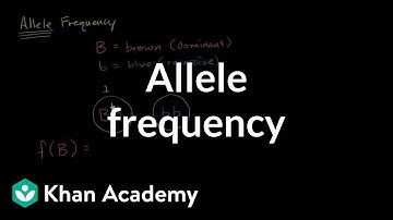 Allele frequency