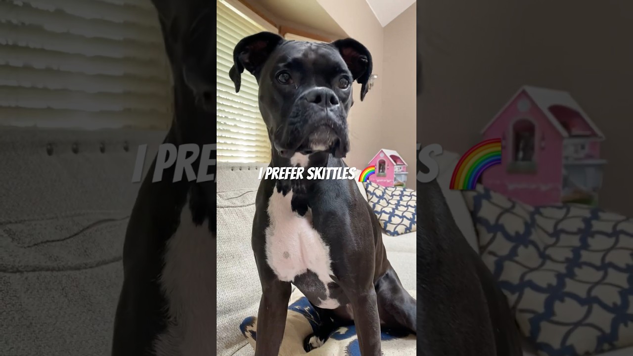 🍭🍫 Зачем ты ешь обертку?! 