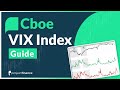 VIX Index Explained | Options Trading Guide