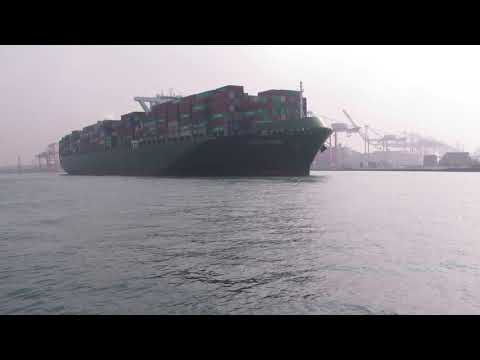 11/27 長榮-正京 TOKYO TRIUMPH (碼頭1115→S2出港) 船籍新加坡SGP 滿載吃水13.9公尺