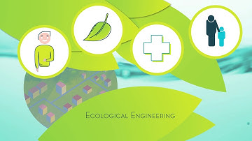 Ecological engineering applied to aquatic environments: projects with multiple benefits