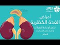 تعرف على الغدة الكظرية و اهميتها و اعراض و اسباب اصابتها 