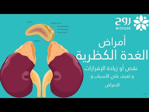 تعرف على الغدة الكظرية و اهميتها و اعراض و اسباب اصابتها