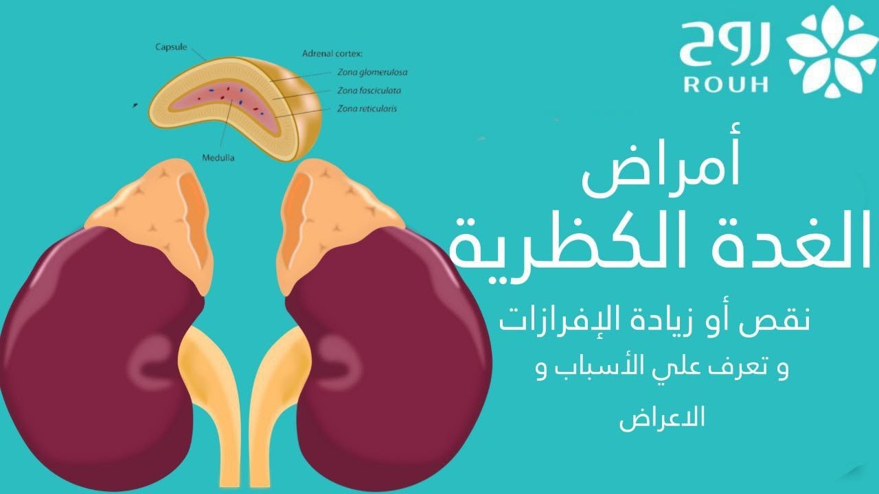 تعرف على الغدة الكظرية و اهميتها و اعراض و اسباب اصابتها