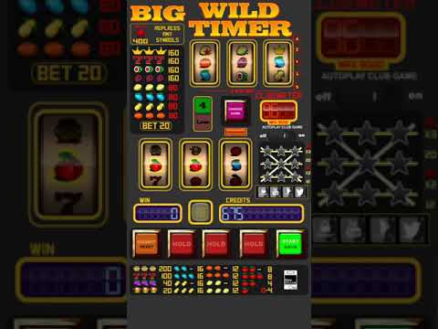 Big Wild Timer Slot Machine -