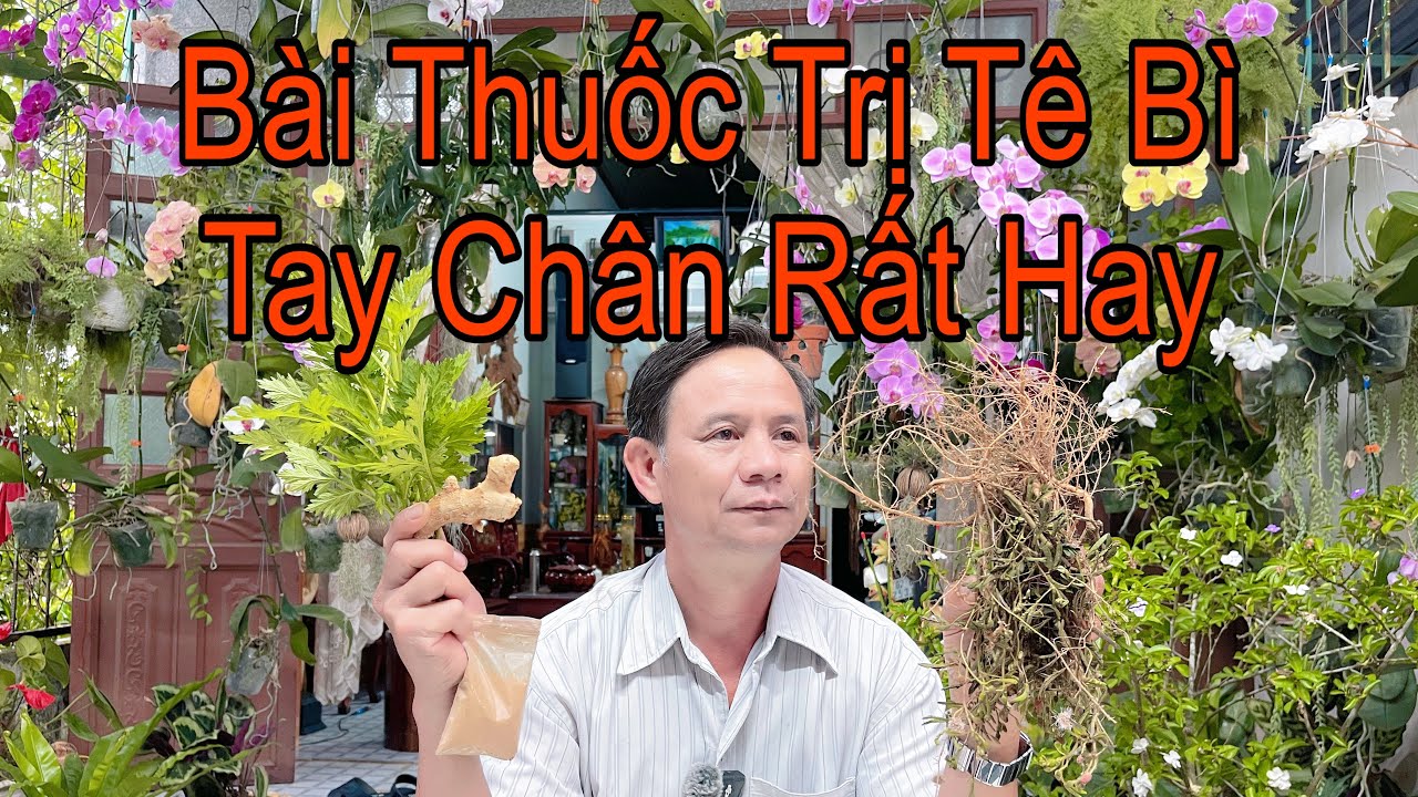 Ai Bì Tê Tay Chân Hãy Tìm Ngay 3 Bài Thuốc Này Cực Kỳ Hiệu Quả Không Tốn Kém 