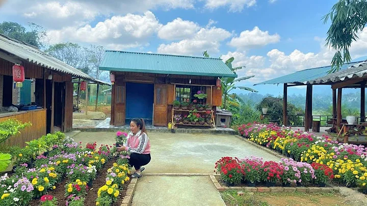 After the flower bed is completed, Mai planted so many flowers that the farm looked like a painting.