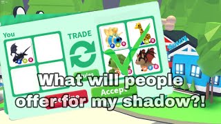 What people offer for my FR shadow dragon || lucie gaming