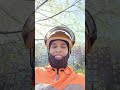 делай паузы, чтоб прочувствовать мир вокруг себя