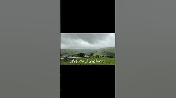 سورة آل عمران الأية : | ١٩٠ - ١٩١ |القارئ : عمر ضياء الدين #قران_كريم #قرآن #عمرضياءالدين #اكسبلور
