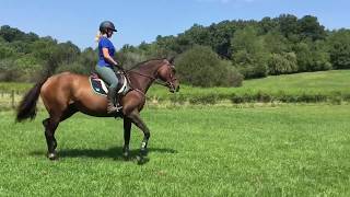 2020 RRP Application