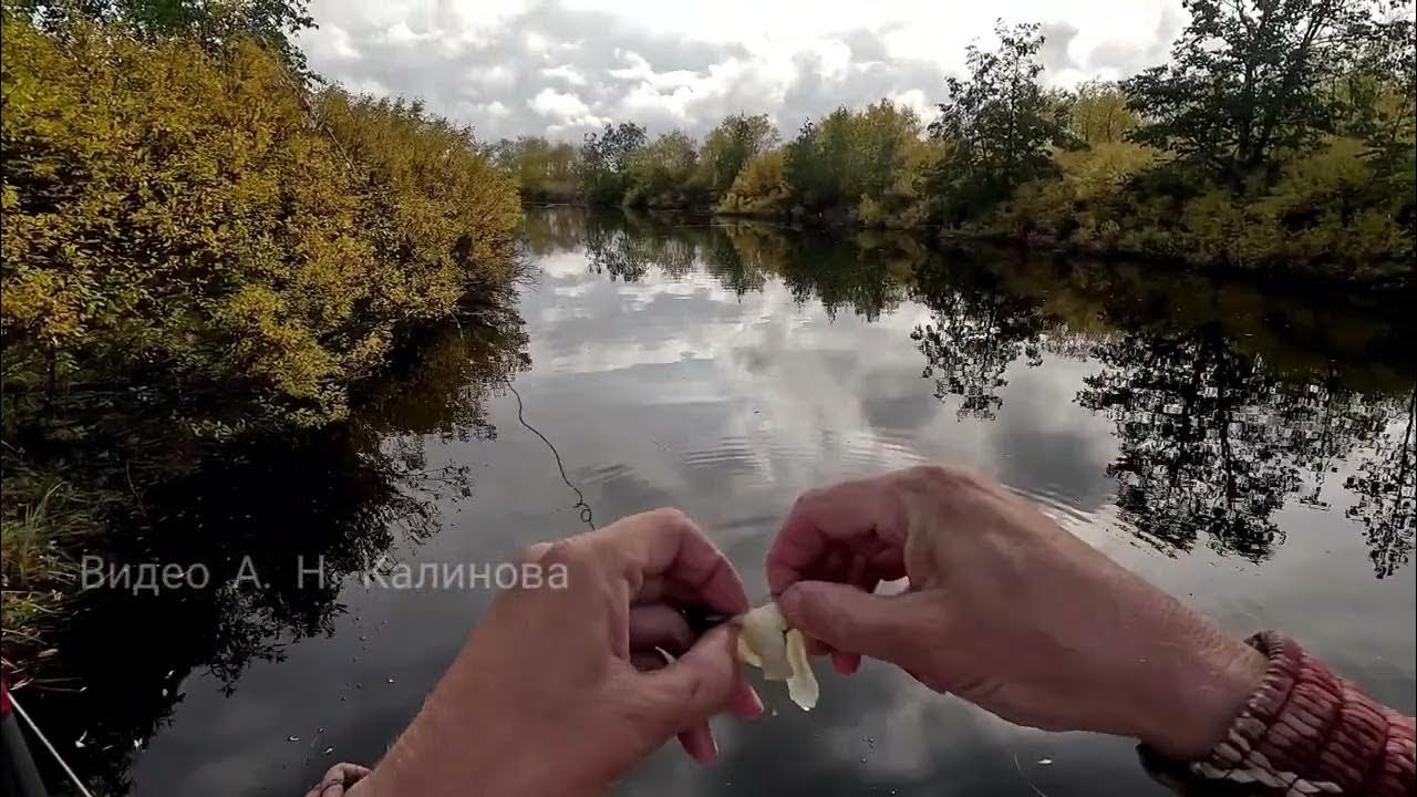 Щука на презерватив 🎣 #камчатка #рыбалка #рыбак #клёвоеместо #север # ...