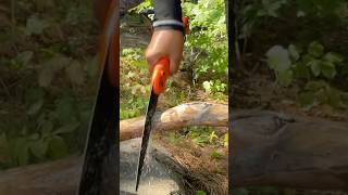 Ultimate Folding Saw For Bushcraft