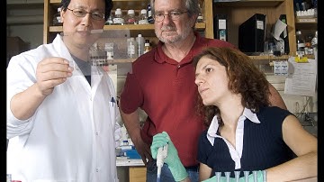 Meet the SU2C-CRI Immunology Dream Team