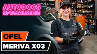 Se en videoguide om DPF-filter byta i CITROËN C5 II (RC_)