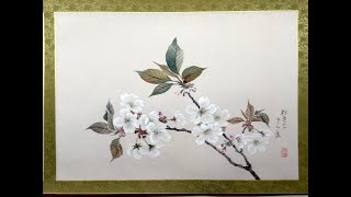桜花図巻】跡見玉枝‐東京国立近代美術館所蔵