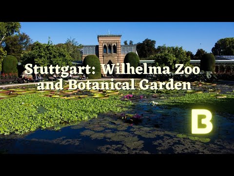 Video: Kebun binatang di Stuttgart
