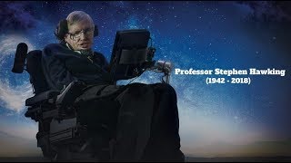 Stephen Hawking Tribute