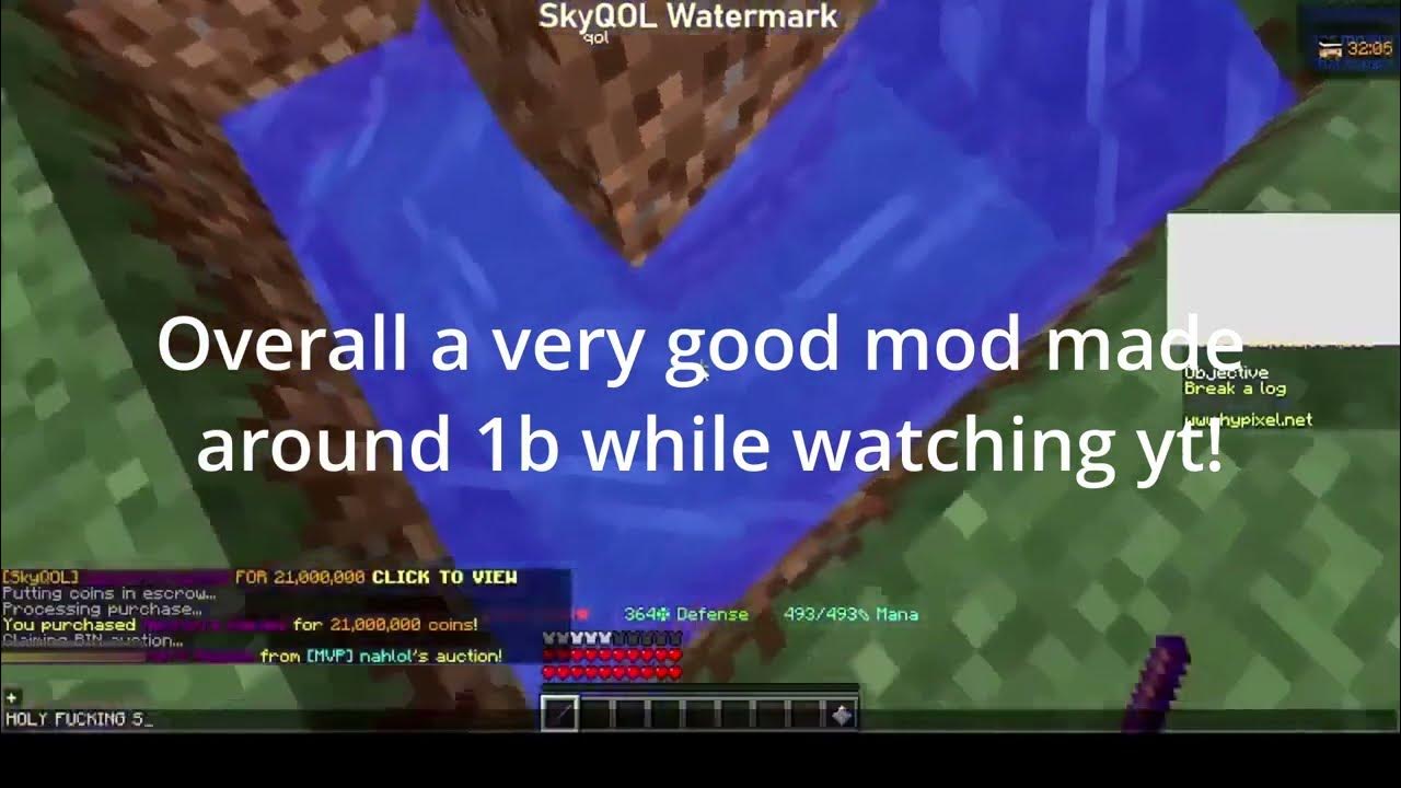 Hypixel Skyblock Best Free Ah Flipper 2023 (SKYQOL Flipper) YouTube