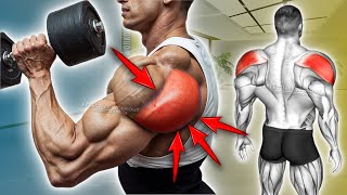 5 Best Rear Delt Exercise (BOULDER SHOULDERS)