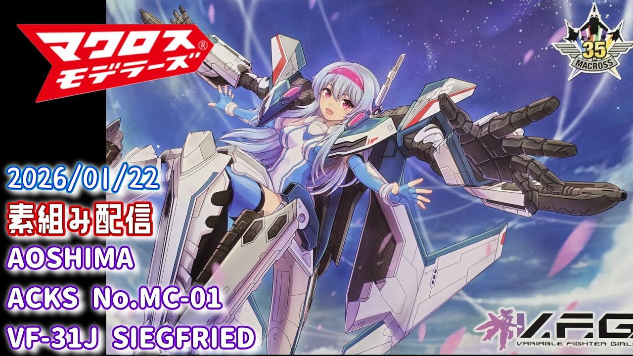 【素組み】私の彼は初心者モデラーズVol.14 AOSHIMA No.MC-01VF-31J SIEGFRIED【マクロスモデラーズ ...