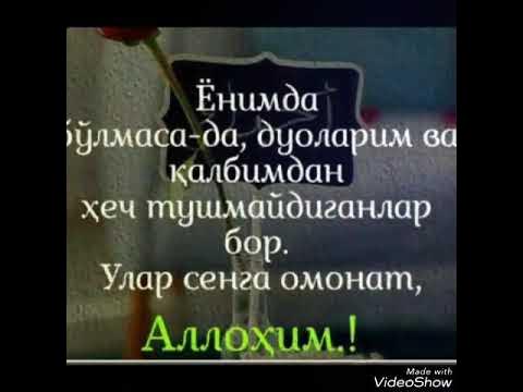 Uyatsiz yigit gayratli Brandi Loveni oz sikiga va boshqa pornoga qoyib qoyadi Noutbuk kamerasi orqali yashirin video kuzatuv