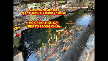 TẬP 53 - CÁ KOI XUYÊN VIỆT 2023 - HỒ CÁ KOI HIỆN ĐẠI SIÊU TO TRONG CHÙA -TP BUÔN MA THUỘT - DAKLAK