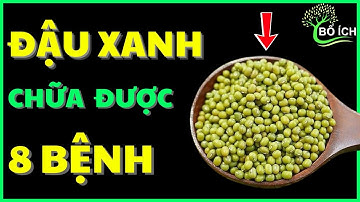 Tin Vui: 8 Lợi Ích Của Đậu Xanh Chữa Được 8 Căn Bệnh Thường Gặp Nhất- kênh sức khoẻ bổ ích