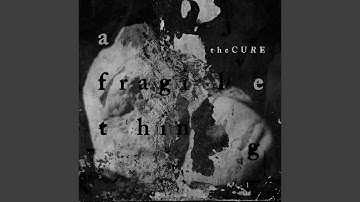 A Fragile Thing (RS24 Remix)