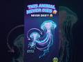 This Animal Never Dies 😱 Immortal Jellyfish#wildlife #animals #nature #facts #viral #shorts