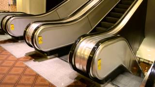clapham south escalators 7EP サイコビリー　ガレージ mqdefault.jpg