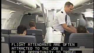 Flight Attendant Career Overview